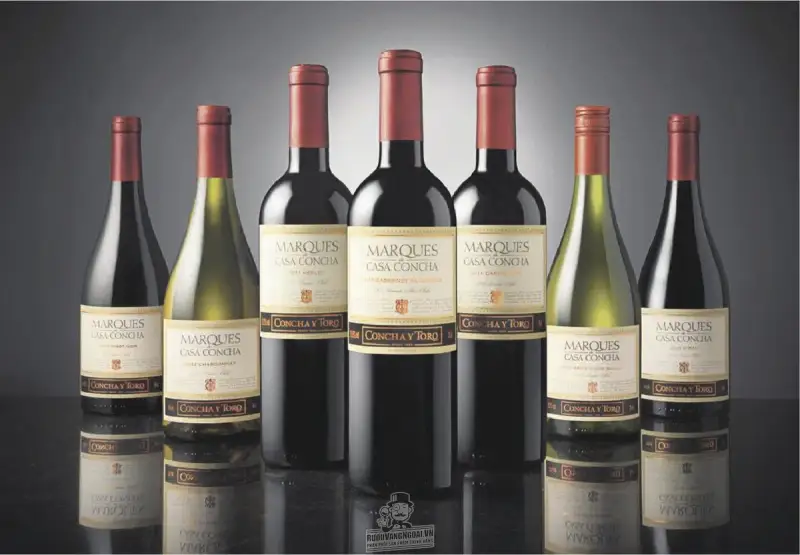 Vang Chile MARQUES CASA CONCHA Sauvignon Blanc