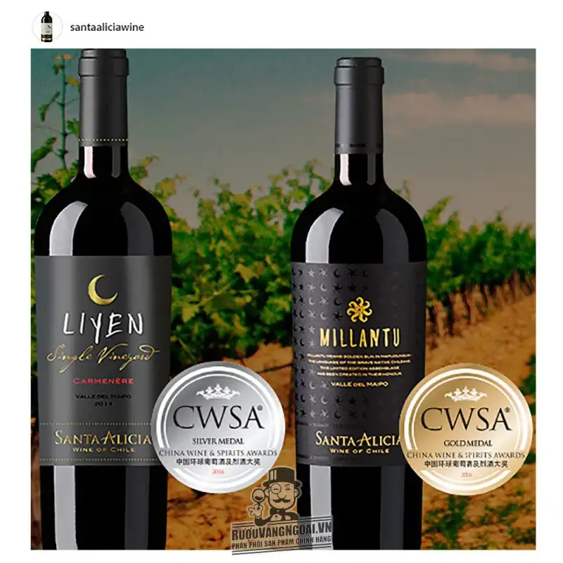 Mua vang chile santa alicia liyen cabernet sauvignon giá rẻ tại Hà Nội