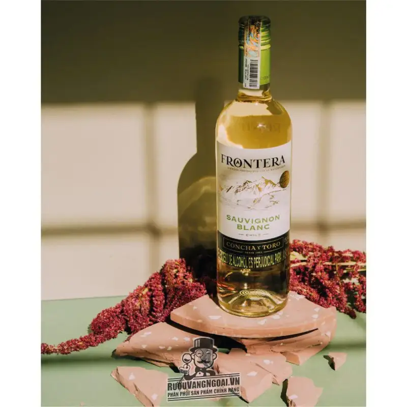 Địa chỉ bán vang chile frontera sauvignon blanc concha y toro giá rẻ tại Sài Gòn