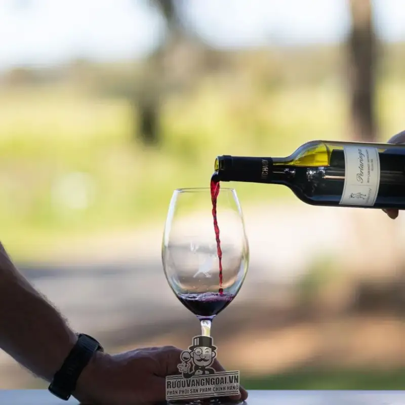 ruou vang pertaringa understudy cabernet sauvignon chiet khau cao mua ở đâu giá rẻ nhất