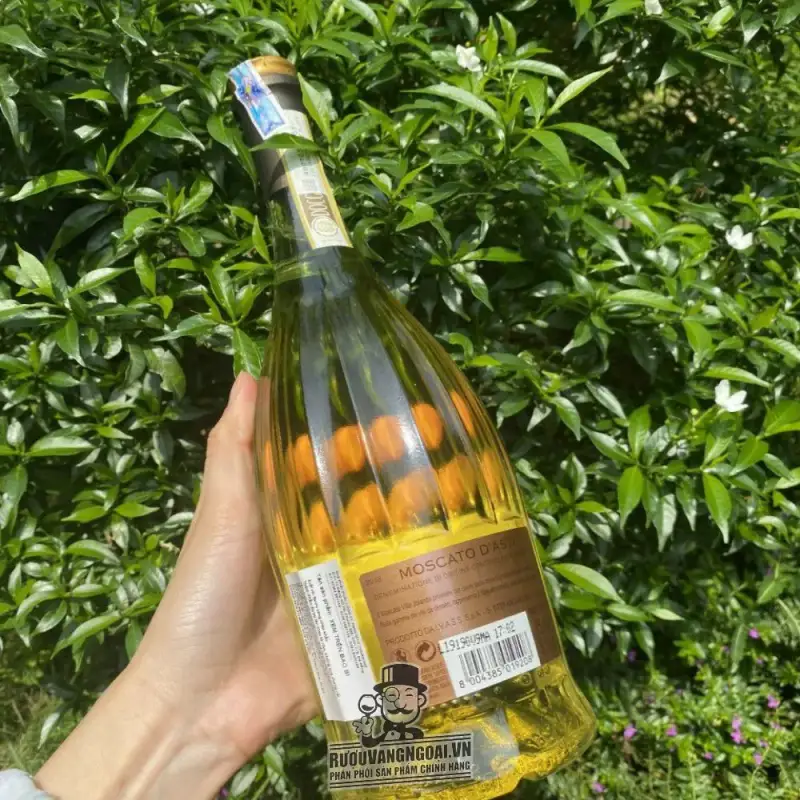 Địa chỉ bán ruou vang villa jolanda moscato dasti giá rẻ nhất
