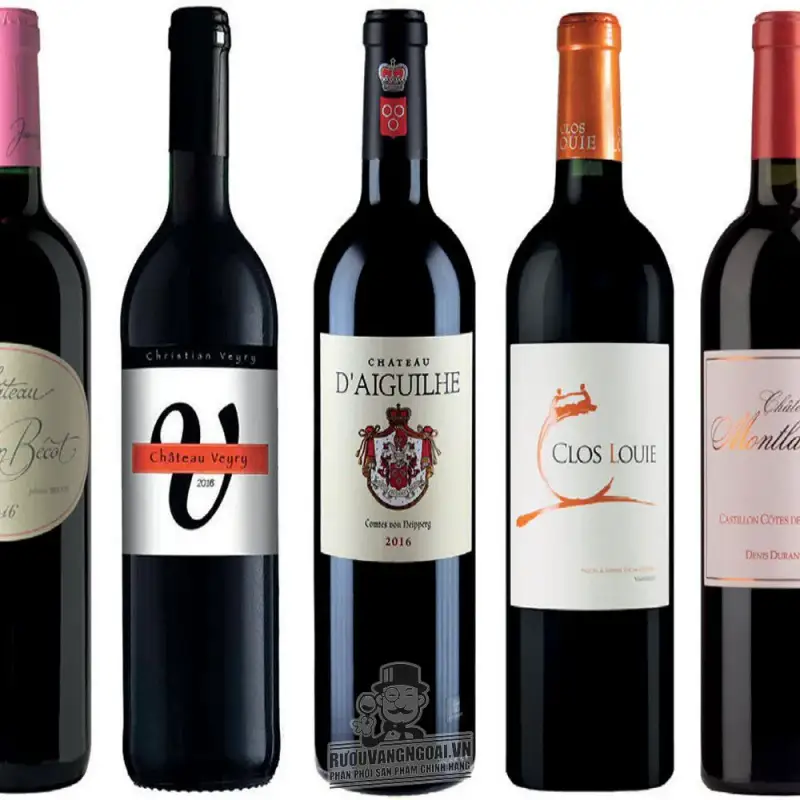 Địa chỉ bán vang phap chateau daiguilhe castillon giá rẻ tại Sài Gòn