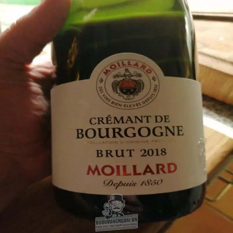 Vang Pháp MOILLARD BOURGOGNE PINOT NOIR