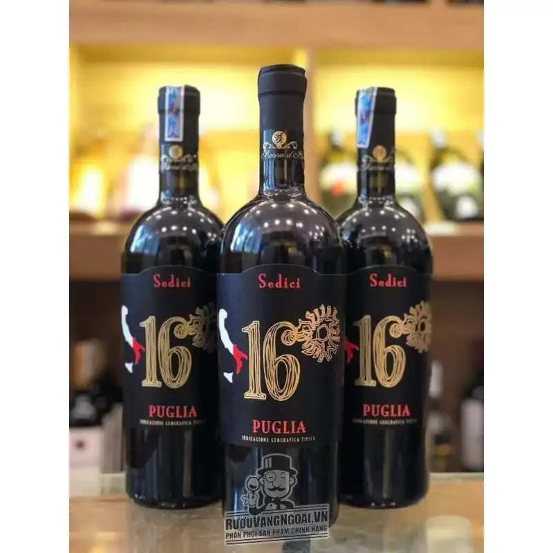 Rượu vang Ý 16 SEDICI PUGLIA 16 độ uống ngon