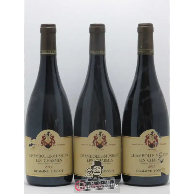 Vang Pháp Chambolle Musigny Les Charmes Domaine Ponsot