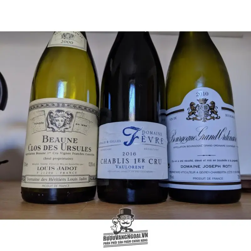 Mua vang phap pommard les rugiens premier cru louis jadot giá rẻ tại Hà Nội