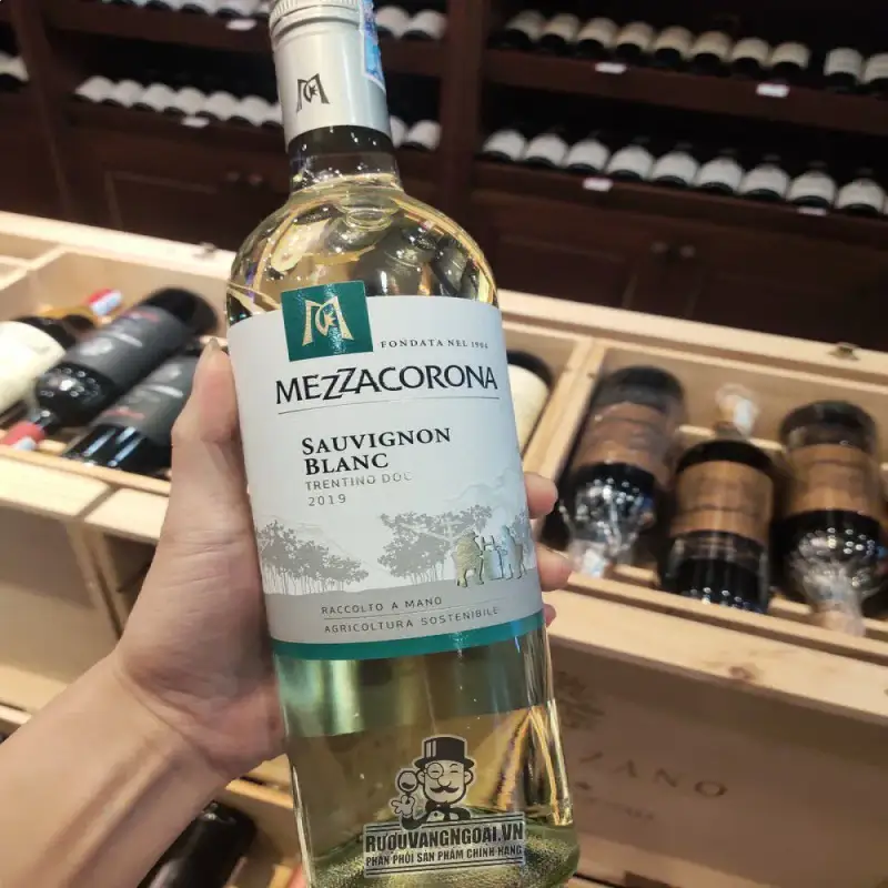 vang y mezzacorona trentino doc trang mua ở đâu giá rẻ nhất