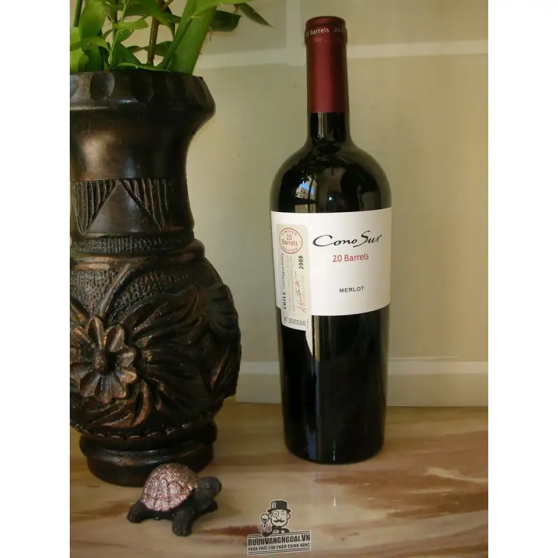 Vang Chile CONO SUR 20 BARREL Cabernet Sauvignon