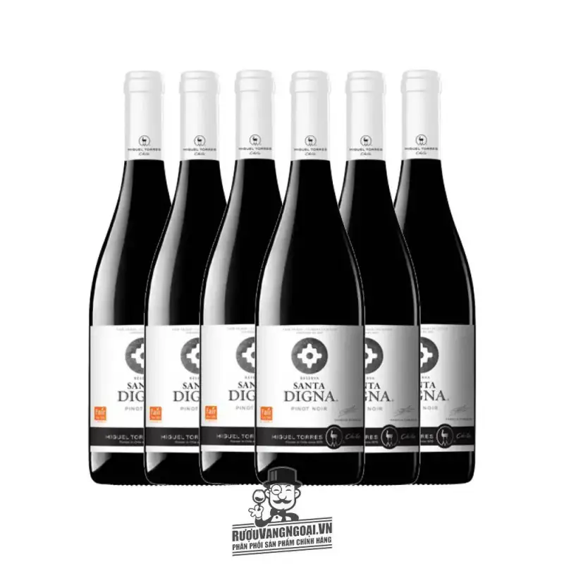 Địa chỉ mua vang chile santa digna pinot noir giá rẻ nhất