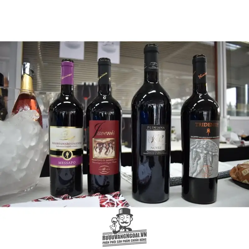 vang-y-pliniana-re-noire-primitivo-di-manduria