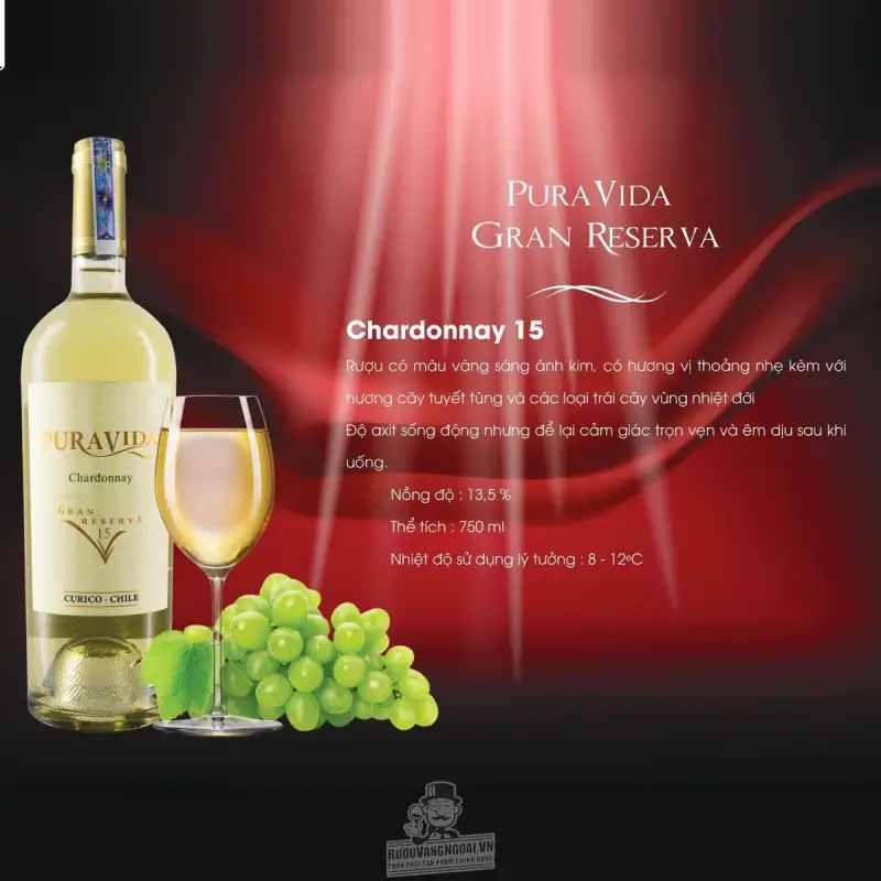 Rượu vang Chile Pura Vida Gran Reserva Chardonnay 15