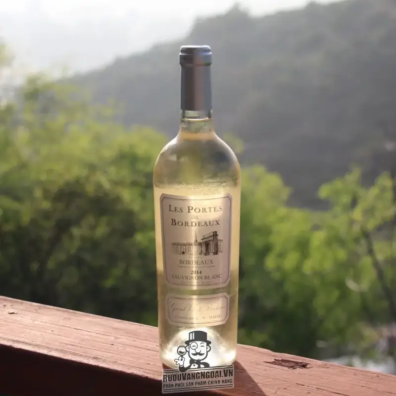 vang Les Portes de Bordeaux Sauvignon Blanc