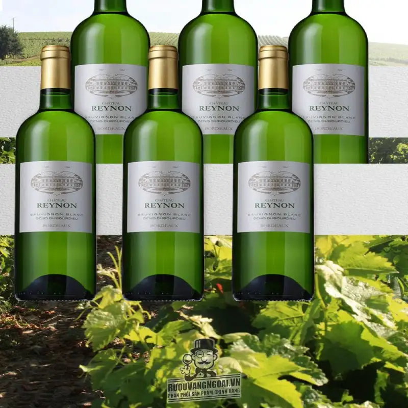 Giá vang phap chateau reynon sauvignon blanc bordeaux