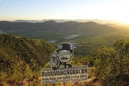 Vang Chile Luis Felipe Edwards Reserva Chardonnay