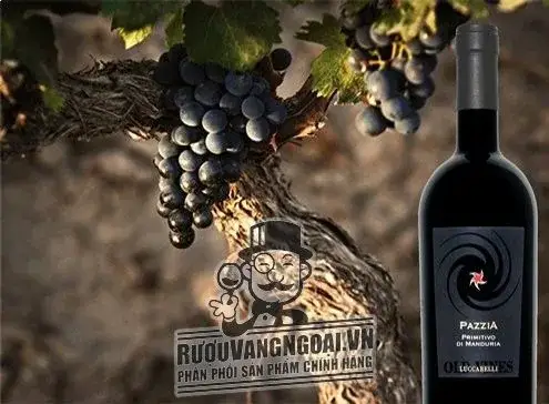 Vang ý PAZZIA Primitivo di Manduria