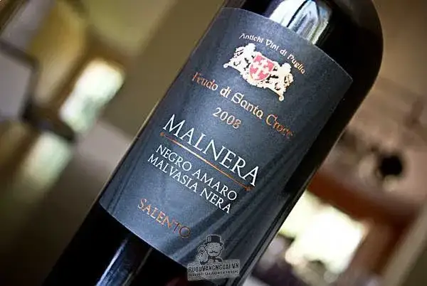 Vang Ý Malnera 2014 NegroAmaro Malvasia Nera Salento