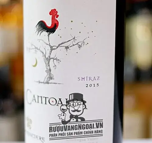 Vang Chile Cantoalba Shiraz