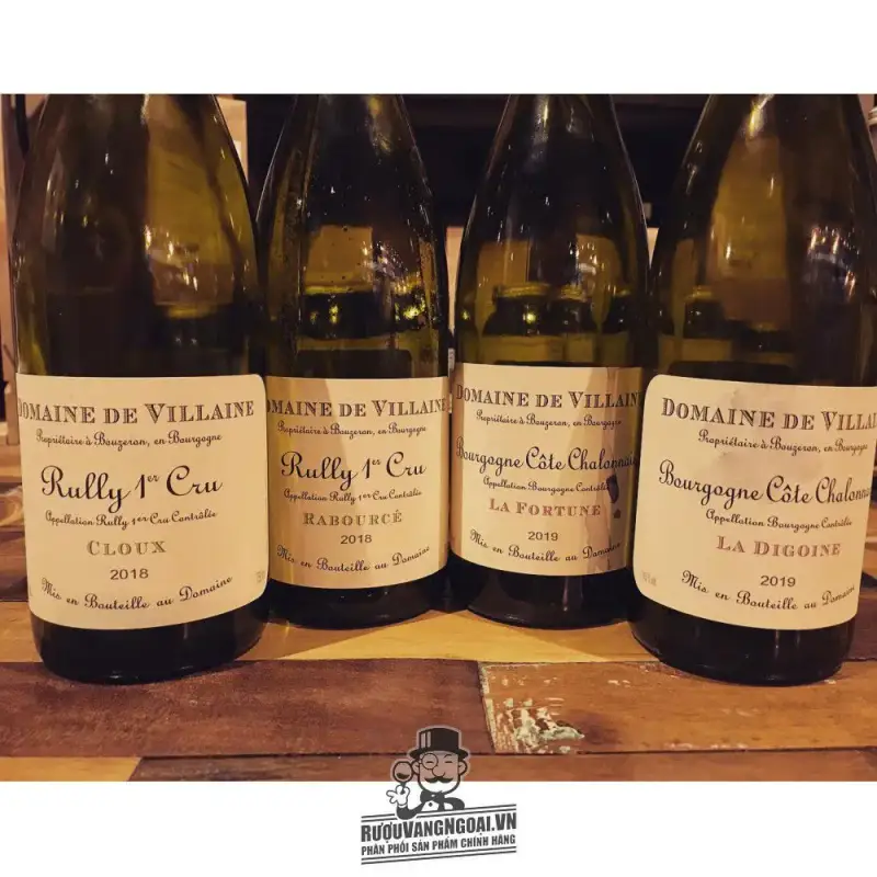 Rượu vang Pháp Domaine de Villaine Rully 1st Cru Les Champs Cloux Gía rẻ