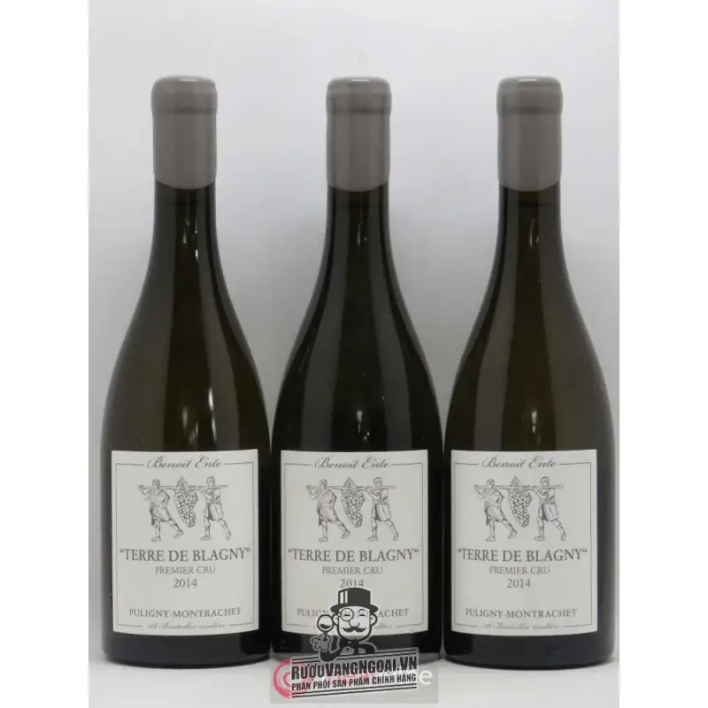 Mua vang phap puligny montrachet benoit ente giá rẻ tại Sài Gòn