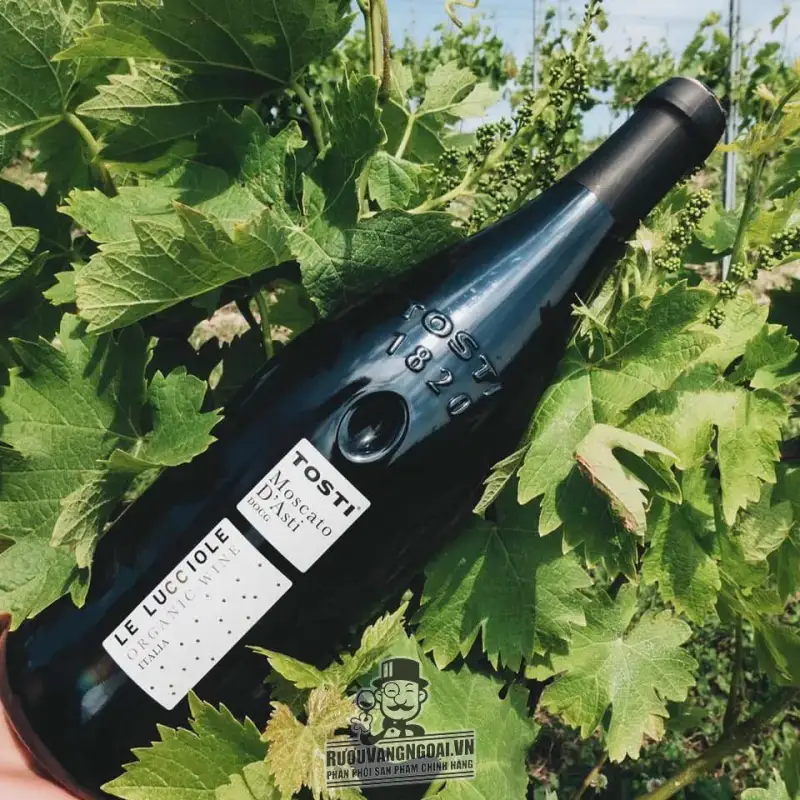 Giá ruou vang y tosti le luccione moscato dasti organic