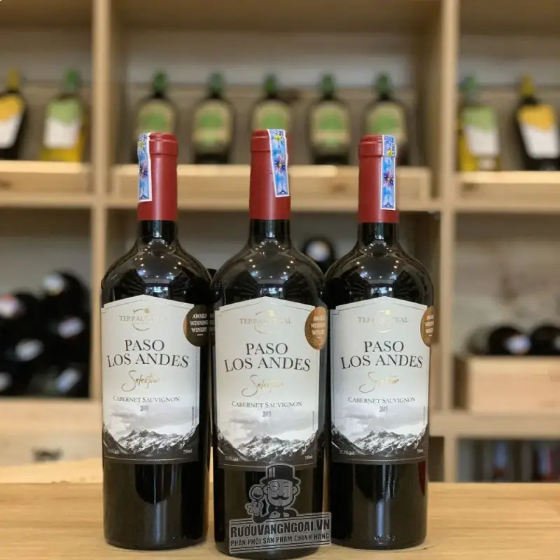 Địa chỉ bán vang chile paso los andes reserva red do giá rẻ nhất
