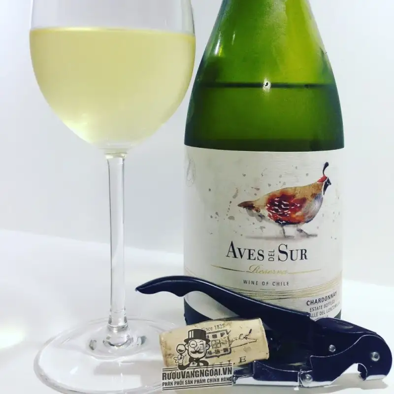 Vang Chile AVES DEL SUR CHARDONNAY