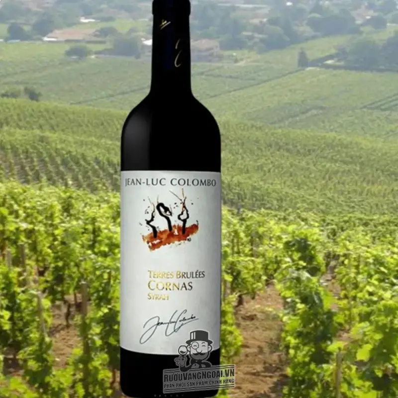 Địa chỉ bán vang phap jean luc colombo terres brulees cornas giá rẻ tại Hà Nội