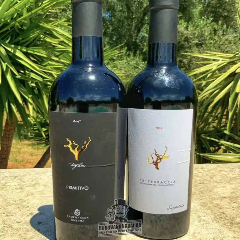 Địa chỉ mua ruou vang y trefilari primitivo sampietrana salento giá rẻ nhất