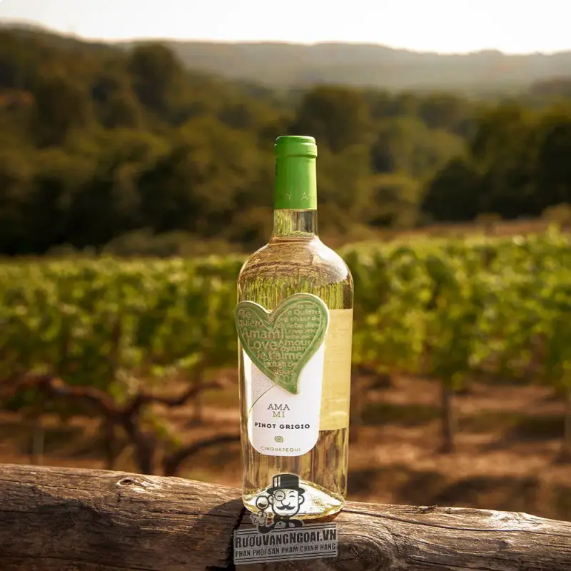 vang y amami pinot grigio mua ở đâu giá rẻ nhất