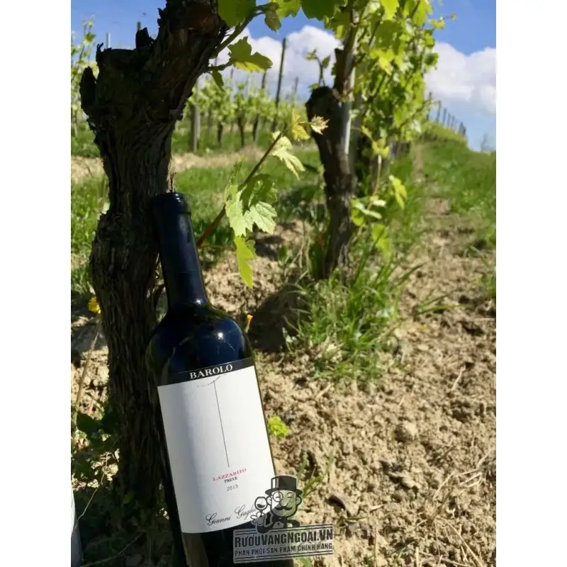 Vang ý GIANNI GAGLIARDO BAROLO LAZZARITO VIGNA PREVE