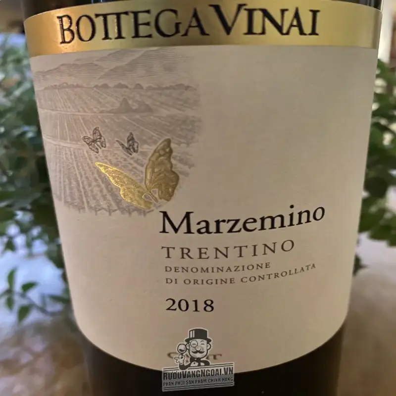 Địa chỉ bán vang y bottega vinai pinot grigio giá rẻ tại Hà Nội