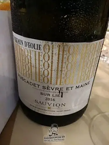 Vang Pháp Muscadet Le Chemin d