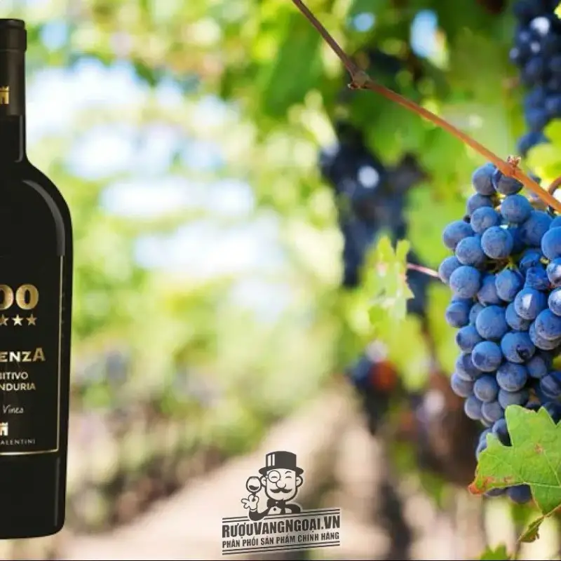 Địa chỉ bán Rượu Vang ý 100 ESSENZA Primitivo