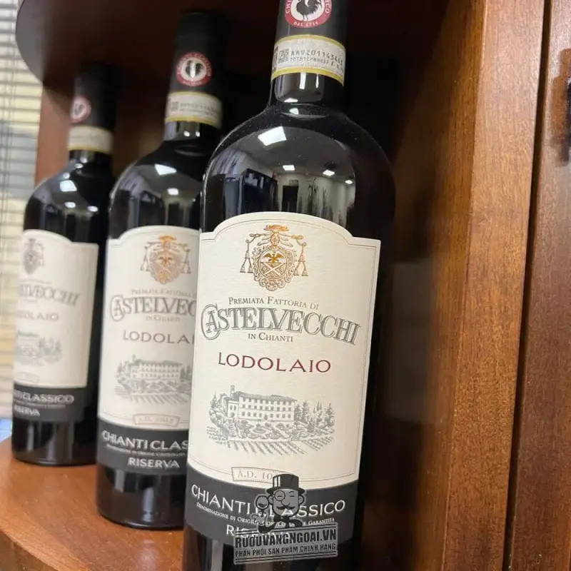 Địa chỉ bán ruou vang castelvecchi gran selezione chianti classico madonnino giá rẻ tại Sài Gòn