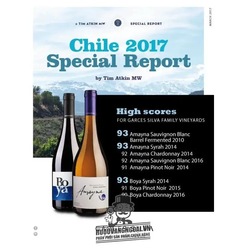 Vang Chile Amayna Pinot Noir
