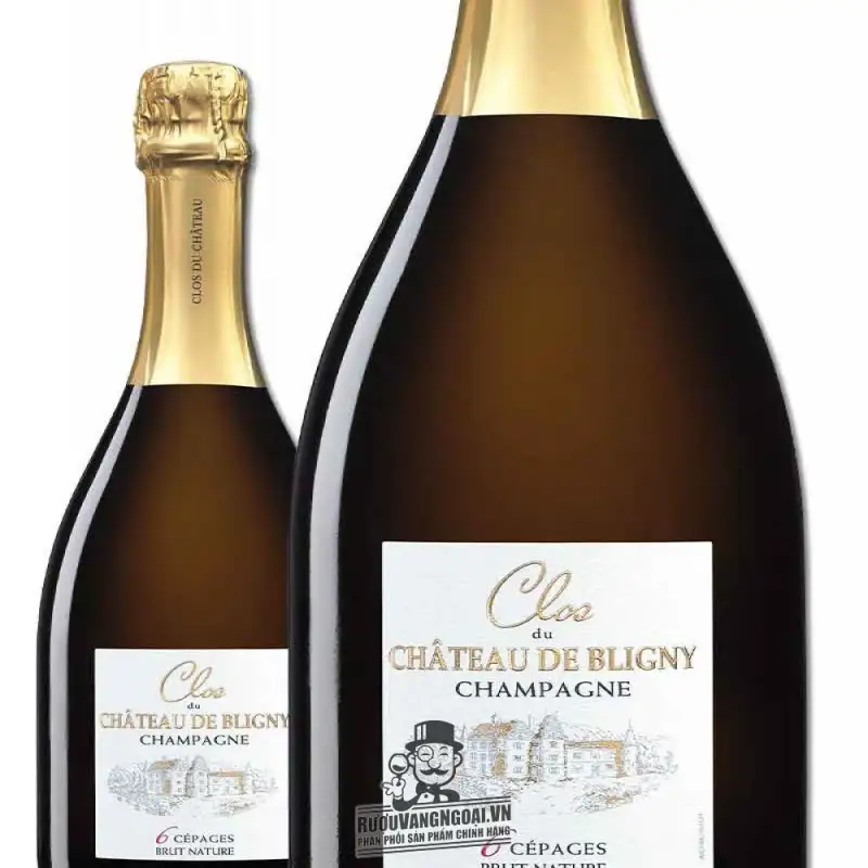 ruou champagne clos du chateau de bligny brut nature mua ở đâu giá rẻ nhất