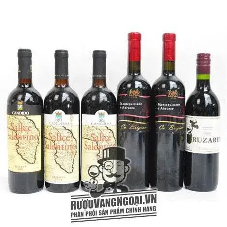 Vang Ý CANDIDO SALICE SALENTINO RISERVA