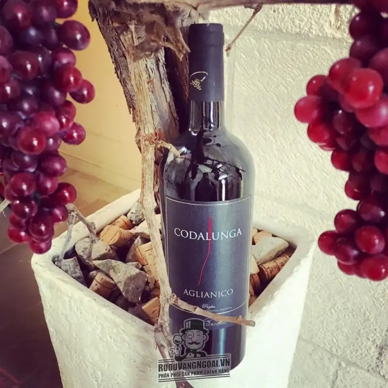 Vang Ý Codalunga Aglianico Tenute Girolamo