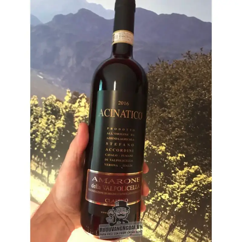 Mua ruou vang acinatico amarone della valpolicella giá rẻ tại Sài Gòn