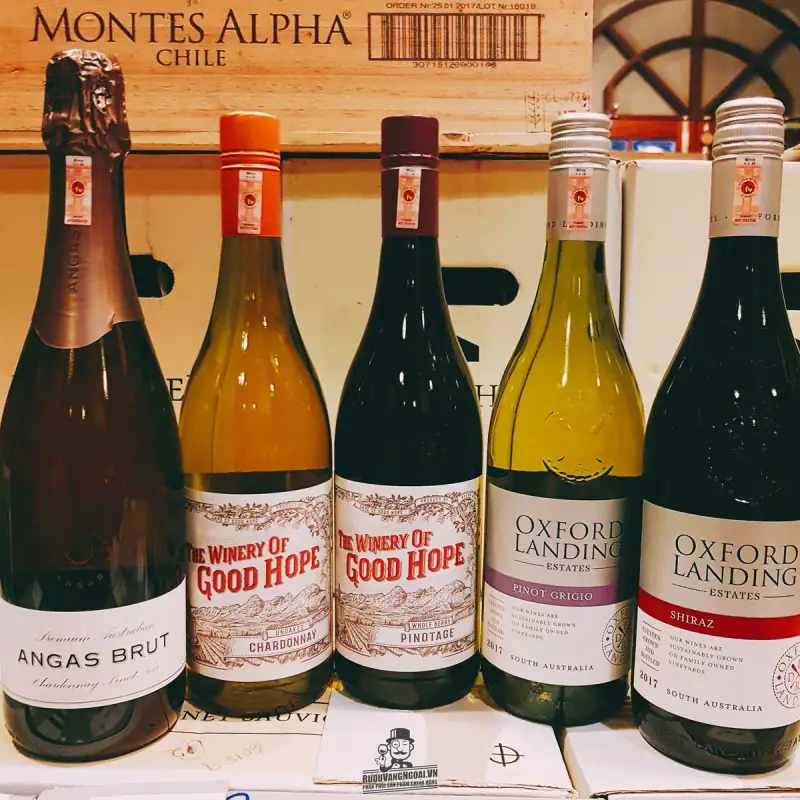 Mua ruou vang the winery of good hope white chardonnay chiet khau cao giá rẻ tại Sài Gòn