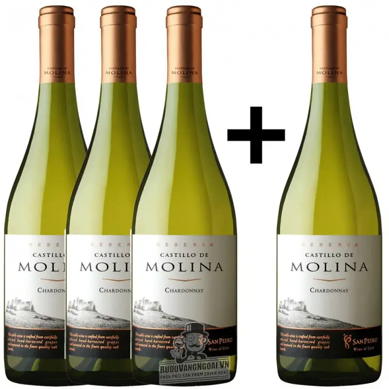 Địa chỉ bán vang chile castillo de molina reserva chardonnay chiet khau cao giá rẻ tại Hà Nội