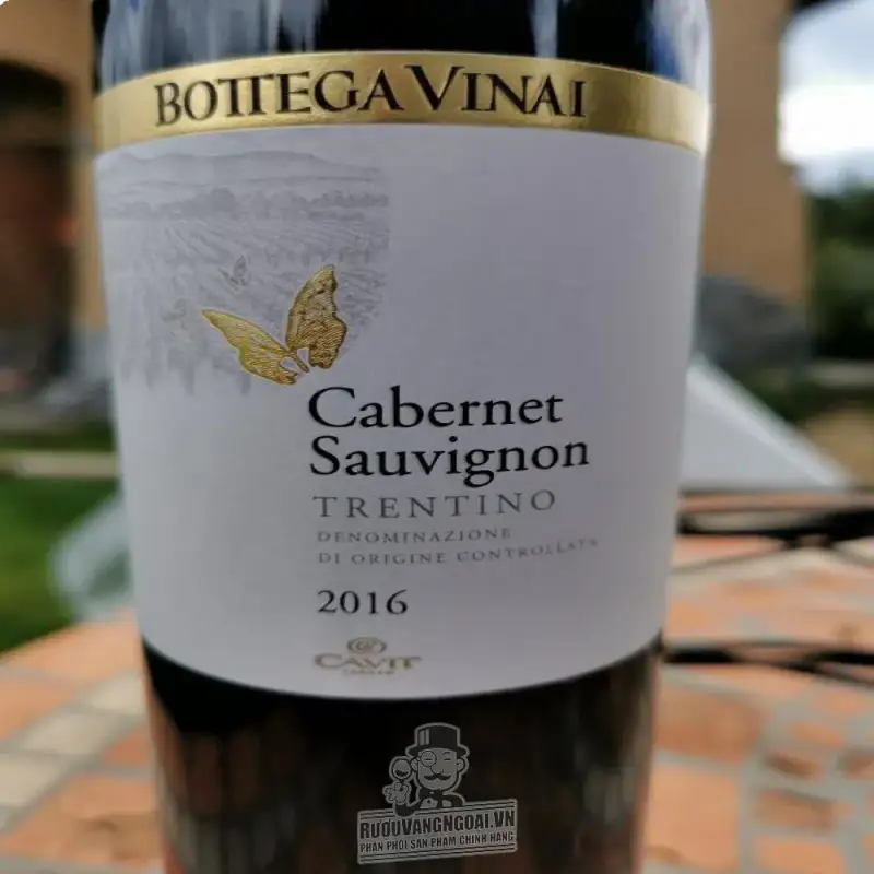 Mua vang y bottega vinai cabernet sauvignon giá rẻ tại Sài Gòn