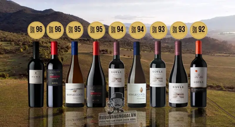 Outstanding scores for Viña Koyle in Descorchados 2020 – Viña Koyle