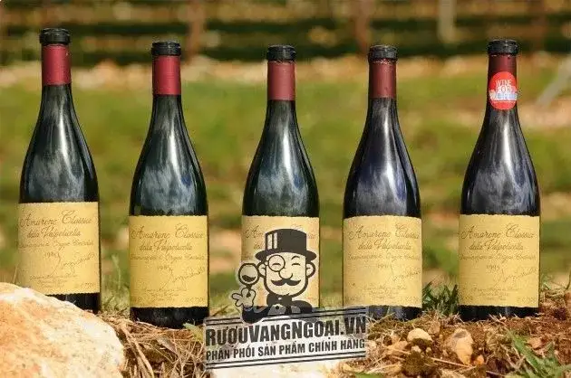 Vang ý AMARONE CLASSICO DELLA VALPOLICELLA RISERVA