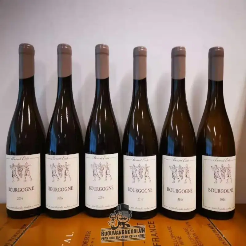 Mua vang phap bourgogne chardonnay benoit ente giá rẻ tại Sài Gòn
