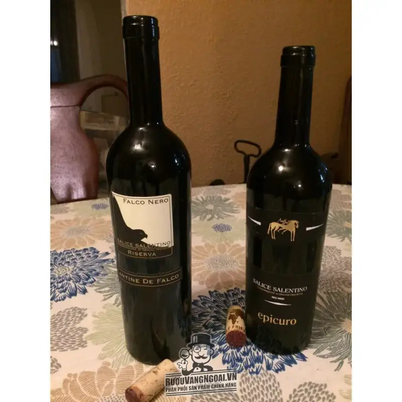Địa chỉ mua vang y cantine de falco falco nero salice riserva dop giá rẻ nhất