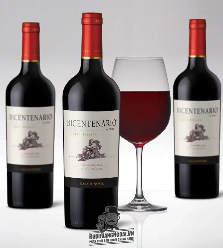 Kết quả hình ảnh cho vang chile casadonoso gran reserva