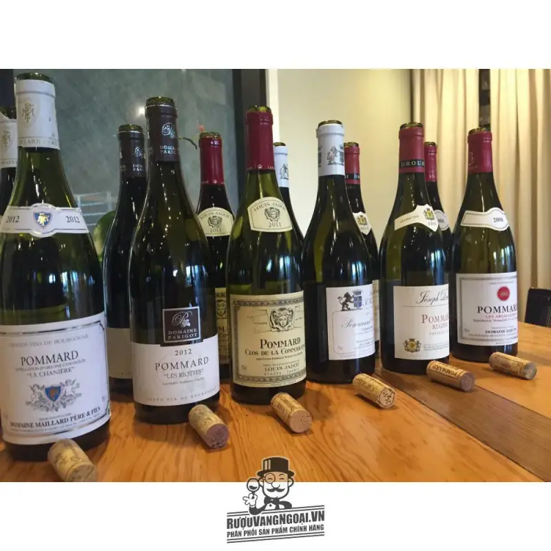 Địa chỉ bán vang phap pommard les rugiens premier cru louis jadot giá rẻ tại Sài Gòn