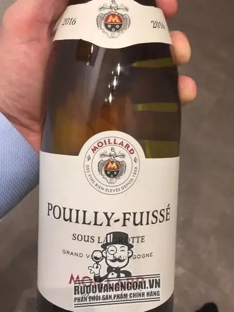 Moillard Sous La Grotte Pouilly-Fuissé 2017