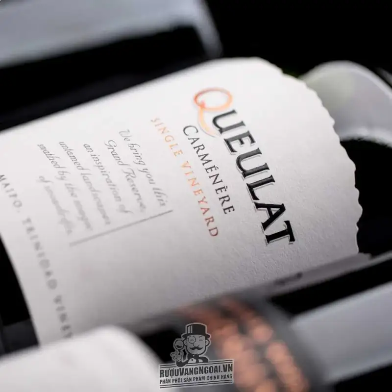Vang Chile Ventisquero Queulat Carmenere